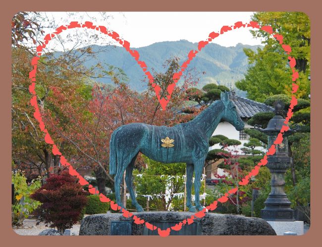 仏像に萌え～！の古都奈良ひとり旅　８　★レンタサイクルで明日香村めぐり・・・橘寺、川原寺跡、亀石★