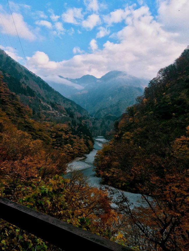 秋も深まる１１月上旬、見ごろを迎えた黒部峡谷へ行ってきました。<br /><br /><br />一日目は新宿から宇奈月駅まで行き、トロッコ列車に乗り紅葉を楽しみながら鐘釣駅で下車。１時間の散策後、再び宇奈月駅に戻り、アパホテル富山に宿泊します。<br /><br />１泊２日バスツアー<br />１日目　新宿→黒部峡谷鉄道→富山市　<br />２日目　富山→白川郷→飛騨高山