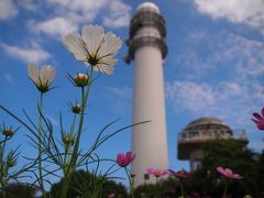 三浦半島最高峰！大楠山ハイキング♪