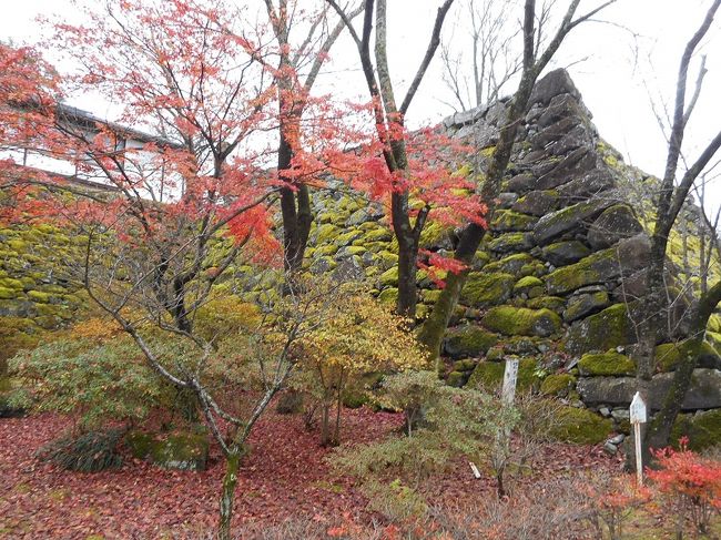 長野県・小諸の「懐古園」で、名残の紅葉を楽しみました～～♪<br />「懐古園」は、小諸城址に残る「三の門」や苔むした「野面石積の石垣」「樹齢５００年のケヤキ」の中、四季折々の風情が楽しめる公園です。<br />紅葉の最盛期は過ぎていましたが、まだまだ名残の紅葉がきれいでした～～♪
