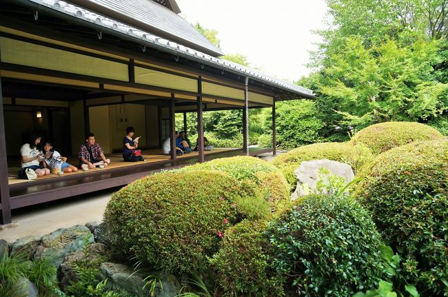 愛知県、安城市にある丈山苑。石川丈山晩年を過ごした京都の一乗寺の丈山<br /><br />寺を再現した屋敷と庭園。<br /><br />友人に聞いて初めて知りました。こんなに素敵な場所が近場にあったなんて<br /><br />知りませんでした。<br /><br />季節毎にいろんなイベントがあり楽しみです、是非一度、訪れてみてくださ<br /><br />い。