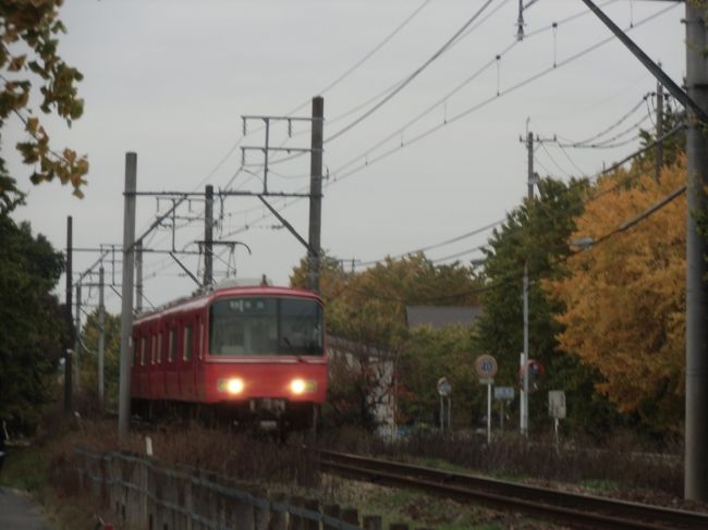 コミュの仲間　大人８人・小学生２人・幼児１人の１１人で出かけました<br />一宮市の　菜もし　で限定２０食のランチを頂き　祖父江のイチョウ祭りに移動です<br /><br />朝から曇り空で　今にも降りそうですが　何とか持ちこたえています<br />祭日ですが駐車場にはすんなり入れました<br /><br />今年は少し遅いらしく　まだ緑の所もありましたが　全体には綺麗でした<br /><br />銀杏の試食をしながら　もちもちして美味しかった〜！<br /><br />出店も沢山出ており　賑やかかったです<br /><br />スタンプラリーもあり　原木とかビューポイントも案内されていて　回りやすかったです<br /><br />最後は抽選があり　銀杏が当たります　はずれでしたけど・・・ちょっぴり残念賞のお菓子がもらえました<br /><br />大勢で行くと楽しかったです<br /><br />今度は　電車からのイチョウ並木が綺麗なので　乗ってみたいですね<br /><br />