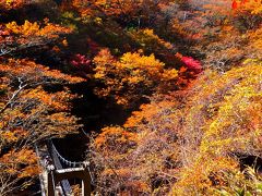 2015年10月　さわやか！大台ケ原で紅葉ハイキングだにゃん（後編・シオカラ谷）