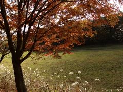 御嶽山眺望の旭高原元気村　東海自然歩道を歩く♪