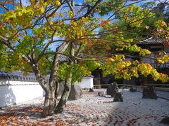 福岡県太宰府市　光明禅寺と竈門神社の秋(2015年11月)