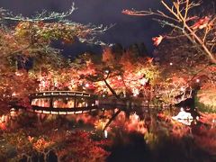 2015紅葉の〆は永観堂のライトアップ　＜ちょこっとお寺バー（閑臥庵）＞