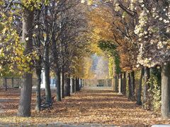 ウィーンの秋を楽しむ　３．シェーンブルン宮殿の庭園を歩く