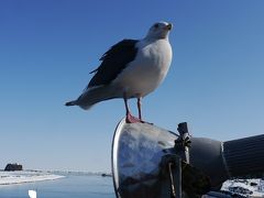 201402北海道旅行 第22回 最終日【網走（流氷観光）】