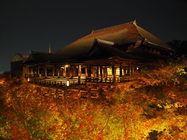 京都の紅葉狩りに通いだして３年目だが、まだまだ未踏の社寺ばっかりだ。根城を祇園の柚子屋旅館にしているので、どうしても東山界隈になりがちで、今年も東山・岡崎に嵐山・嵯峨野を加えた地区を中心に巡ることになった。<br /><br />最初に一言、「今年の紅葉は、色づきが今一つだった。」というのも気温が下がらなくて、雨が多かったため、赤くなる前に落葉してしまったようだ。<br /><br />こればっかりは、自然が相手なので如何ともしがたいが、それでも、一人旅の気ままをいいことに写真を撮りつつ歩きに歩き、食事も京料理を堪能した。<br /><br />まず、初日は、東福寺・圓徳院・青蓮院と清水寺ライトアップに行き、食事は、高台寺萬治郎で昼食を、柚子屋で夕食をいただいた。<br /><br />http://yuzuyaryokan.com/<br />http://www.kyoto-manjiro.com/index.html<br /><br />なお、清水寺は最後の参拝客だったため、舞台に人が写っておりません。