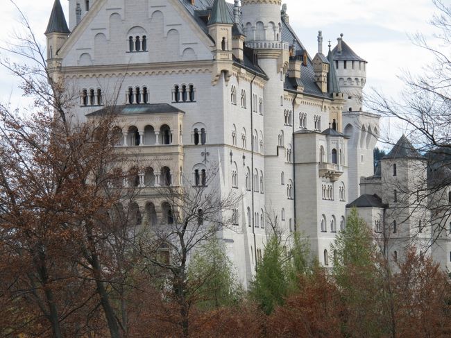 ２０１５年１０月２５日から１１月１日までドイツツアーを一人で回ってきました。<br />町は紅葉で色づき　落ち葉のじゅうたんの上を歩く！　美しいところでした。<br />ドイツの人たちは　とても親切にしてくれました。満足した旅でした<br />寒さ対策が必要で　風は大陸の寒さが肌に突き刺さるような冷たい風なのです。<br />外に出るときは　「コート」に「手袋」「ストール」「ブーツ」は離せませんね。<br />自分は大陸の寒さを甘くみていました。お陰でカイロが活躍し、昼間とか室内は汗ばむくらいなので　カイロで調節するのが一番楽でした<br /><br />１日目　ＡＮＡ機でフランクフルトへ<br />　　　　フランクフルトからビュルツブルク<br /><br />http://4travel.jp/travelogue/11073397<br /><br /><br />２日目　バンベルク〜ビュルツブルク　レジデンツ　マリエンベルク要塞　　旧マイン橋<br /><br /><br />http://4travel.jp/travelogue/11074024<br /><br /><br />３日目　ローテンブルク〜ロマンチック街道の一部　　フュッセンへ<br /><br />http://4travel.jp/travelogue/11075877<br /><br /><br /><br /><br />４日目　ノイシュバンシュタイン城、ヴィース教会、ミュンヘン<br /><br /><br />ノイシュバンシュタイン城<br /><br />Kommentars / 解説<br /><br />ドイツ、バイエルン州、シュヴァンガウの村に建つ城。<br /><br />バイエルン第四代国王ルートヴィヒ２世によって１８６９年から１８８６年にかけて建設され、現在ではドイツで１、２を争う美しい城といわれ、ドイツ観光のパンフレットなどでも表紙を飾り、ディズニーランドのシンデレラ城のモデルにもなりました。<br /><br />今や世界中から旅行者が訪れ、南部ドイツの一大観光地となっています。<br /><br /> <br /><br />「Neu(ノイ)」は『新しい』、「Schwan(シュヴァン)」は『白鳥』、「Stein(シュタイン)」は『石』の意味。<br /><br /> <br /><br />「ノバンシュタイン(意味不明)」や「ノイシュヴァインシュタイン(新しいブタの石)」などと間違えて覚る人が多いようで、少しばかり覚えにくい名前のようです。<br /><br /> <br /><br />「新しい白鳥の石」→「New Swan Stone (ニュー・スワン・ストーン)」→「Neu Schwan Stein (ノイ・シュヴァン・シュタイン) 」と覚えましょう。<br /><br /> <br /><br />バイエルン王ルートヴィヒ２世が存命中は、「ノイホーエンシュヴァンガウ城Schlo?・ Neuhohenschwangau」という名で、王の死後１８９０年より現在の名前になりました。<br /><br /><br />現在、城の建っている台地には、中世に築城された「前ホーエンシュヴァンガウ」と「裏ホーエンジュヴァンガウ」の城址がありました。<br /><br /> <br /><br />１８６８年７月に２つの城址は取り壊され、建設現場に続く道路と水道が整備されました。更に建設敷地面積 を拡張するために、露出した円頂丘を７〜８メートルほど爆破し、翌年１８６９年９月５日に、当時のバイエルン王ルートヴィヒ２世によって「新ホーエンシュヴァンガウ城」建設の礎石が据えられ、大規模な建設が開始されることになりました。<br /><br />城はその後１７年にわたり建設が続けられ、１８７３年には城門館が完成、１８８３年には本館が完成し、１８８４年からは４階にある王の居住部分には入居できるようになりました。<br /><br /> <br /><br />王は、ノイシュヴァンシュタイン城の他にリンダーホーフ城、ヘレンキームゼー城を建築し、さらにファルケンシュタイン城、ビザンチン風宮殿、中国風宮殿まで建築しようと考えたため、進行中の城の建築費だけでも莫大な金額にのぼり、王家、とりわけ王の借金(*１) は嵩むばかりでした。その上、王としての職務を怠るようになり、国民の前にも姿を見せず、引きこもり、オペラと城造り熱中したため、王家や内閣からは精神病との烙印を捺され、王座を追われてしまいました。その直後の１８８６年６月１３日の王の死により、建設中の工事は全て中断されました。<br /><br />同年８月より、一般公開されるようになりましたが、平日２マルク、休日１マルクという、当時にしては比較的高額な入場料(現在の貨幣価値に換算すると１マルク≒３０DM≒１５<br /><br />ユーロ≒２０００円)にもかかわらず、わずか半年で１８,０００人もの入場者がありました。<br /><br />その後、未完成だった中庭南側に位置する『婦人の館』が簡素な形で建設され、城内の『玉座の間』に重さ９００kgのシャンデリアが設置されました。<br /><br /> <br /><br />現在、ノイシュヴァンシュタイン城は、バイエルン州政府の所有で、その美しい佇まいと、何よりもその建築に情熱を傾けた国王ルートヴィヒ二世の物語と結びついて私たちの興味をひき、現在では毎年１００万人以上もの旅行者が訪れる格好の観光名所となっています。(ホーエンシュヴァンガウ城はヴィッテルスバッハ 補償基金財団の所有<br /><br />*１．『ルートヴィヒ二世は自分の城を建設するために国費を浪費し、国を破産のふちに立たせた』とよく言われますが、これは事実ではありません。『国王の私財と王室費(国家君主の給料)を使った』というのが事実です。建設が進むにつれて費用が嵩み、王は多額の借金をしましたが、それらは王の死後、王家(ヴィッテルスバッハ家)により返済されました。<br /><br /> <br /><br />城は春から秋の観光シーズンは、ものすごーーーーーーく混雑します。<br /><br />麓のチケット販売所も行列が収まらず、１００メートル下のバス停まで行列が続くこともあるそうです。チケットはネットでも予約ができるので、ハイシーズンはそちらを利用した方がいいです。<br /><br /> <br /><br />麓から城までは、シャトルバス(冬期運休)と馬車、徒歩で行く方法がありますが、馬車も徒歩も20〜30分ほどで、かかる時間はだいたい同じです。なお、シャトルバスは馬車とは違うルートで登城します。個人的には徒歩での登城がオススメですが、道には馬糞が落ちているので注意しましょう。<br /><br /> <br /><br />チケットは、麓のチケットセンターで購入してください。城では販売していません。<br /><br />ネットで予約もできます。<br /><br />城１つにつき１２ユーロ(2012年4月現在)で、ホーエンシュヴァンガウ城とのコンビチケットもあります。チケットには入城時間が記載されているので、遅れないように登城してください。なお、コンビチケットを購入した場合、ホーエンシュヴァンガウ城へ先に入城することになります。<br /><br />「世界ふしぎ発見！」 2015年9月12日（土）放送内容<br /><br />http://matome.naver.jp/odai/2144206875044616201<br /><br /><br /><br /><br /><br /><br /><br />５日目　マウルブロン観光　　マウルブロン修道院群<br /><br />６日目　ハイデルベルク城〜ライン川周辺　リューデスハイム　ニーダーヴァルト〜ケルンへ<br /><br />７日目　ケルン　フランクフルト　　<br />　　　　フランクフルトから羽田へ　帰国<br /><br />１日目から　帰国までご覧ください