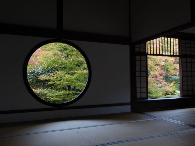 熟女６人でお出かけ・・・　紅葉真っ盛り、上賀茂神社～鷹ヶ峯 　②鷹ヶ峯～イカリヤ食堂編