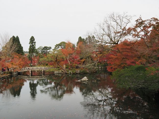 京都の紅葉狩りに通いだして３年目だが、まだまだ未踏の社寺ばっかりだ。根城を祇園の柚子屋旅館にしているので、どうしても東山界隈になりがちで、今年も東山・岡崎に嵐山・嵯峨野を加えた地区を中心に巡ることになった。<br /><br />最初に一言、「今年の紅葉は、色づきが今一つだった。」というのも気温が下がらなくて、雨が多かったため、赤くなる前に落葉してしまったようだ。<br /><br />こればっかりは、自然が相手なので如何ともしがたいが、それでも、一人旅の気ままをいいことに写真を撮りつつ歩きに歩き、食事も京料理を堪能した。<br /><br />２日目は、もみじの永観堂、南禅寺、無鄰菴と真如堂、金戒光明寺へ行った。よくよく考えると初訪は、無鄰菴のみ。他は去年も行ったなぁ。それだけ去年良かったことの裏返しなのだが、新鮮味がない。祇園から永観堂と金戒光明寺から祇園までは、バスに乗ったが、あとはひたすら歩きました。<br /><br />昼食は、南禅寺順正でゆどうふ会席をいただきました。<br />http://www.to-fu.co.jp/<br /><br />追って、バスは渋滞になると逃げ場がないので、極力電車と徒歩で回ることをお勧めします。岡崎から祇園まで1.5時間もかかり疲れました。<br /><br />写真だけで失礼します。