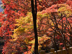 2015紅葉（6） もみじの里・紅葉の名所「大本山永源寺」