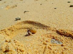 美ら旅＠沖縄本島中部(3/4)