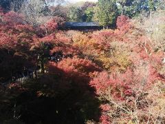 朝のプチ観光と東福寺