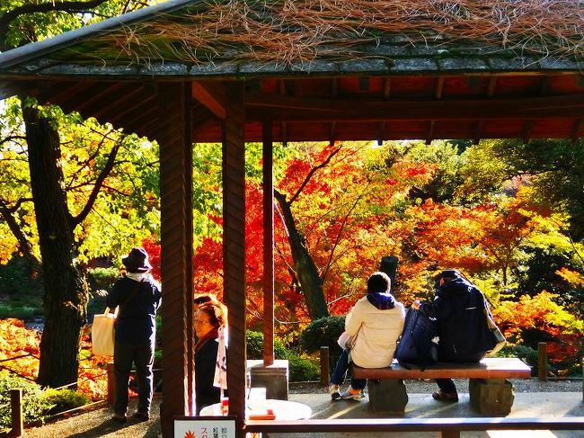 旧古河庭園の紅葉