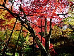 ★金剛輪寺・西明寺での紅葉狩り★