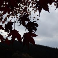 2015年　奥三河 山の幸ごはん♪と香嵐渓で紅葉狩り