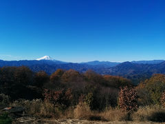 晩秋　陣馬山～景信山～高尾山　縦歩