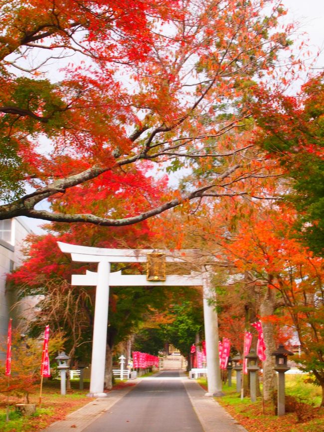 まだまだ旅行気分の、週末の滋賀散策～♪ ⑤日頃の通勤ルートの紅葉を楽しんだ1日