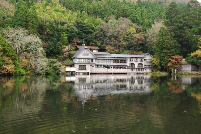 午後のフェリーで帰るので、久しぶりに温泉に浸かって、湯布院の街を散策しましょう。<br /><br />大好きな別府の岡本屋のプリンを食べて。<br /><br />別府港14時発のフェリーにて帰路に着きます。