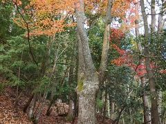 夜泣き峠から貴船山、鞍馬山へ