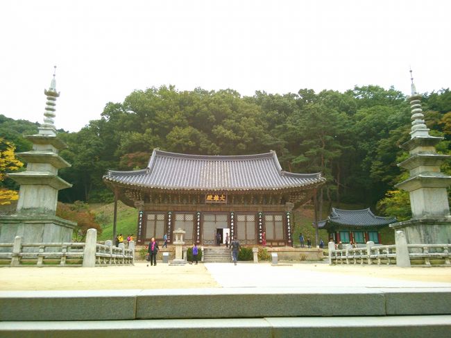 韓国旅行の目的の一つが33観音聖地巡りです。<br />今回は桐華寺と直指寺を訪ねました。