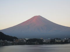 いつものママ友4人で河口湖の花火を見に行ってきました～（2日目）