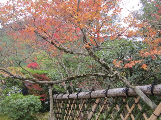 紅葉の京都を久しぶりに歩きたいと思い、２泊３日の旅を計画しました。できるだけ、多くのお寺を回りたいと思い、ハードな日程を組みました。まずは、この夏の祇園祭の頃訪れて気に入った、鷹峯の光悦寺、源光庵、常照寺からスタートすることにしました。<br />