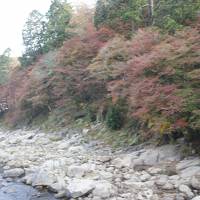紅葉を見に香嵐渓へ