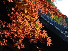 ２０１５年１１月　フォトセミナーin京都♪紅葉の風景を～「永観堂」～「南禅寺」～