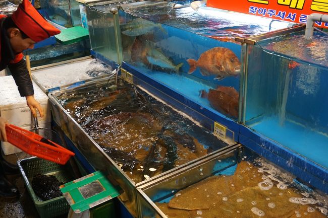 ノリンジャン水産物市場で刺身を食べに行きました。