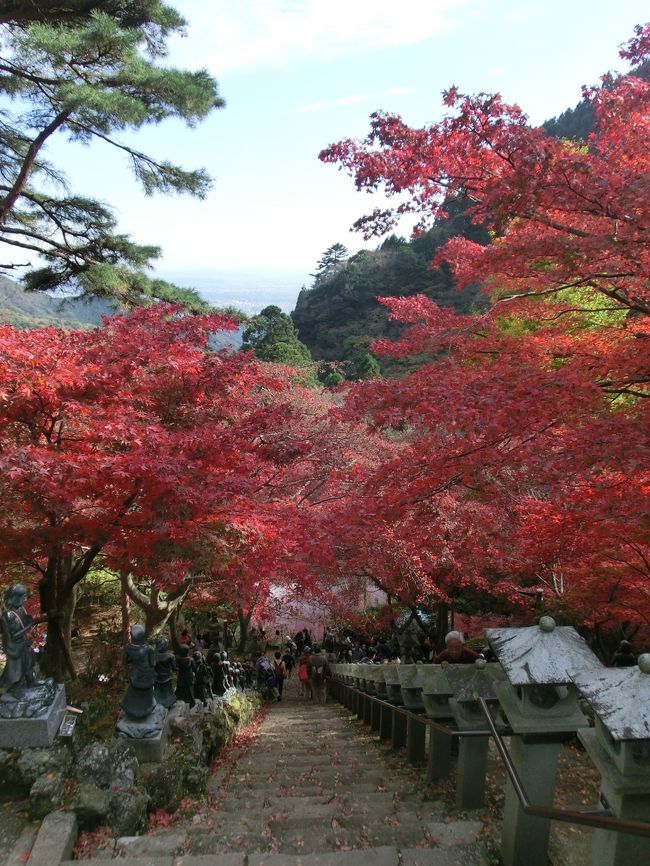 １１月に入って紅葉の季節になり今年も京都に行くかどうか迷っていたのですが、今年はどーもハズレ年!?の模様だったので、今年は行くのをやめることに。。。<br />そこで、去年紅葉が素晴らしかった大山へ今年も行ってきました。<br />