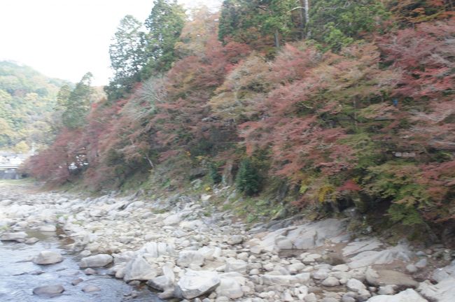 紅葉の時期に香嵐渓に行こうと決めていました。<br />ツアーではじめての香嵐渓<br />まだ早かったようですが、天気もよく、楽しく歩いてきました。