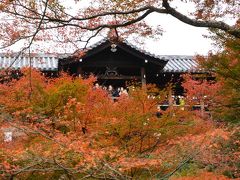 ２０１５年１１月　フォトセミナーin京都♪紅葉の風景を～「東福寺」～