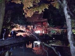 高台寺のライトアップとおばんざい