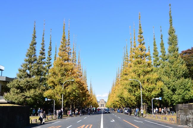 神宮外苑のイチョウ並木が色付き始めたとのことで出掛けてみましたが、今年の黄葉(紅葉）はなんだか様子が変かも？<br />神宮外苑を早々に切り上げた後は上野公園に移動して東京国立博物館で開催中の特別展「始皇帝と大兵馬俑」を観てきました。<br /><br />東博の特別展「始皇帝と大兵馬俑」は、２０１６年２月２１日まで開催されています。<br />