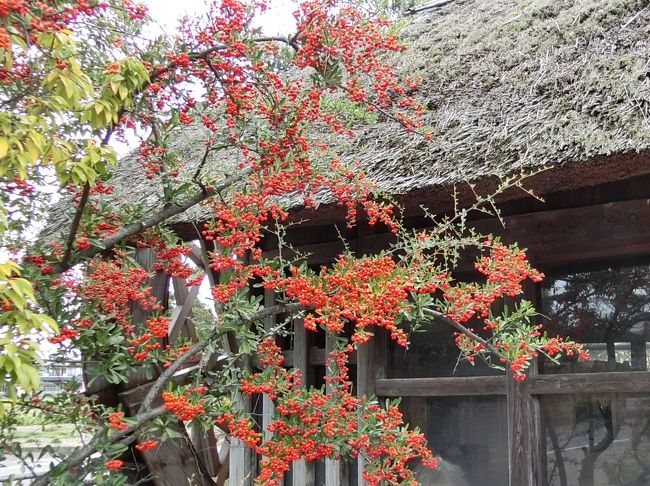 温泉宿に泊まり、のんびり親睦を深めることが最大の目的、名目上の研修はほんの少しの慰安旅行に参加しました。<br /><br />今年のこの旅行の目的は〈東北復興支援〉でもありますので、同僚一同お買い物に燃えています。<br /><br />● 日　　程　2015.11.25～2015.11.26<br />● ホ テ ル 　なぎさの奏 夕鶴<br />● メンバー　団体旅行<br />● 行　　程　１日目...岩代屋敷大王・アンナガーデン<br />　 　　　　　２日目...相馬市内復興視察・海鮮市場カネヨ・ホテルハワイアンズ<br /><br /><br /><br /><br /><br />