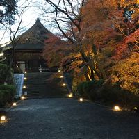 今年は近江神宮、三井寺、近江八幡に石山寺ライトアップへGOGO!名古屋飯を求めて寄り道したら思いがけず観光も楽しめた旅★まずは出発から近江神宮、三井寺編。