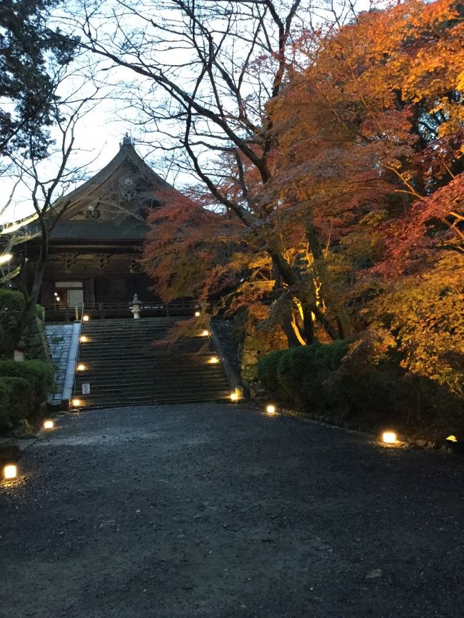 また今年も調整のために仕事が出来なくなりました。<br />去年はハイペースで仕事をしたため、約二ヶ月間仕事が出来なかったので、今年はかなり削ってもらい調整しましたが、それでも半月のお休みになりました。<br /><br />前半は色々用事を片付け、後半は主人の居る京都へGOGO!!<br />日々時間を計算しながらの仕事で、休みが決定するまでにそんなに期間も無く、<br />去年は10月末でしたがそれでも京都にホテルが取れず・・・。<br /><br />今年は出だしも遅いし、時期も一ヶ月遅く、まずいことに紅葉シーズンと重なり・・・<br />去年泊まった大津プリンスホテルも空きが無く、今年は近江八幡に宿泊です。<br /><br />近江八幡は、去年フォートラの先輩トラベラーUさんの旅行記で初めて知り、<br />こんな素敵な場所があったなんて、知らなかった〜〜〜〜〜！！！<br />すっ飛ばして彦根城でひこにゃんに癒されてしまった〜〜〜！！！<br /><br />と、帰ってきてから知ったので凄い残念でした。<br />なので、今年の旅の目的は近江八幡へ行くこと。<br />その他はノープラン。<br />主人によると「石山寺」「三井寺」が滋賀では有名らしい。<br />丁度時期的にライトアップと重なり、ラッキー♪<br />2泊3日の予定だったので、最終日は帰宅するつもりでしたが、<br />あれ？別に帰らなくても仕事じゃないし、去年9月から京都で仕事しているのに<br />全く何処にも観光していない主人を連れて観光したらいいかも？？<br />と、提案したら、「名古屋に寄らない？？」<br />と、違う提案が帰ってきました。<br /><br />名古屋は随分長い間、主人が仕事で御世話になった場所です。<br />単身赴任だったり、出張だったり・・・<br />仕事が変わってからは京都がメインになってしまったため、名古屋は久しぶり。<br /><br />随分前に、名古屋飯食べに名古屋へGOGO!!と、マリオットアソシアホテルを<br />予約していざ行かん！！と、計画したのですが・・・・<br />理由は忘れましたが、その計画は流れてホテルはキャンセル。<br /><br />そんなこんなで、名古屋が追加された分、半日時間が出来、<br />平等院を訪れることになりました。<br />京都観光後は名古屋へ移動して王道な名古屋飯を満喫。<br />名古屋では観光の予定は全くなかった物の、急遽出かけて、思いがけず観光も楽しめ、<br />かなり満足な旅になりましたが・・・<br />毎日かなり歩いて非常に疲れました。<br /><br />1日目<br />新幹線で京都入りし、近江神宮、三井寺へ移動。<br />近江八幡　ホテルはちまん宿泊。<br />2日目<br />ホテルから歩いて八幡堀周辺散策。<br />ホテルで小休憩後、三井寺へ移動。<br />3日目<br />主人を連れて平等院へ行く道すがら、せっかくなのでと<br />途中下車して伏見稲荷大社へ立ち寄り、その後平等院へ。<br />京都から名古屋へ新幹線で移動して王道な名古屋飯を堪能。<br />名古屋ではローズコートホテル宿泊。<br />4日目<br />ホテル周辺には有名観光どころがあるらしく、せっかくだしと<br />名古屋観光を楽しみ新幹線で名古屋から東京へ移動し、自宅まで帰宅。<br /><br />そんなフレキシブルな旅の出発から１日目終了まで。<br /><br /><br />