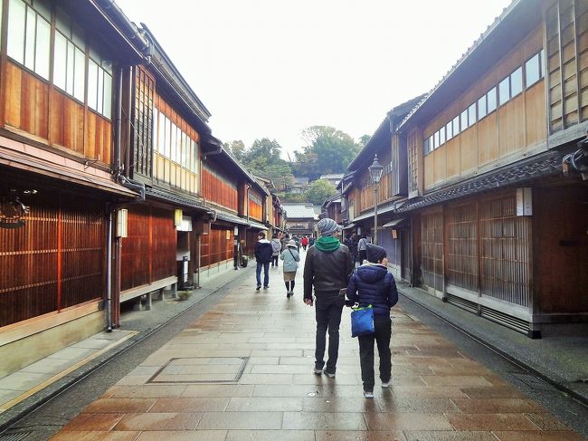 職場の旅行で、金沢・東尋坊などの北陸地方を訪れました。<br />行きは北陸新幹線を、帰りは小松空港から飛行機を利用です。<br /><br />１日目は金沢駅から貸切バスで東尋坊へ向かい、夜は山中温泉に宿泊しました。<br /><br />２日目は金沢市内自由散策です。<br />近江町市場でバスを降ろされてから兼六園集合まで約２時間の自由時間だったので、ひがし茶屋街、金沢21世紀美術館、金沢城公園を散策して、集合場所の兼六園へ向かいました。<br /><br />金沢城公園や兼六園などでは、真っ赤に色づいた紅葉を楽しむことができました。<br />短い時間でしたが、歴史ある金沢の街を満喫してきました。