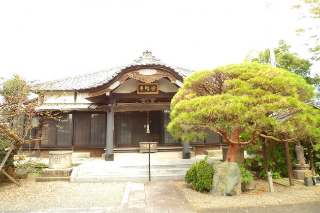 　大磯町大磯にある妙輪寺は日蓮宗のお寺で福聚山妙輪寺という。延文元年（1356年）この地の真言寺主は、鎌倉比ヶ谷妙本寺・池上本門寺、両山の三世である大経阿闍梨日輪聖人（日蓮六老僧の一人、日朗聖人の高弟９人（九老僧）の一人。日蓮上人池上入滅の際、兄経一丸と共に稚児として仕えた亀王麻呂）と大いに宗義を論じたが、ついに信順して宗を改め寺を聖人に献上した。<br />　翌延文2年（1357年）聖人は方駕を今のこの地に進め、四月開堂して説法をし、福聚山妙輪寺と号した。以来、永聖跡（寺格）として今日に至る。<br />　開山日輪聖人の母は妙朗尼であり、尼の父は印東領主印東次郎左衛門尉藤原祐照といい、母は工藤祐経の娘である。<br />　当山日蓮聖人像は疱瘡身代り守護の像といわれた。現在も病気身代り守護の像として、祈願参詣が多い。徳川時代は紀州家の姫が度々宿泊し、また江戸城の奥女中の参詣が少なくなかった。<br />　天保7年（1836年）九月、北下横丁大工半七火元にて宿内大半焼失し、自他11寺を焼失した。その後仮建物で過ごし、明治末に現在の本堂が再建された。<br />　古文書と仏像の一部は火災を免れ、特に当山二世である日向（真言寺主）に授けた開山日輪聖人真筆曼荼羅が現存し、日輪聖人像（徳川中期、池上本門寺宝蔵より移した）も保存されている。<br />　境内にある熊王稲荷は、大磯宿商繁盛の守護神として伝わる。<br />　落ち着いた境内で、枝を広げた松の木の下にベンチが設えてあり、そこに座ってお昼を頂いた。<br />（表紙写真は妙輪寺本堂）