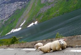 2015.8ノルウエーフィヨルドドライブ1771km 45-Vangsnesを出発，Gaurarfjellet，Fossestien