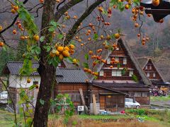 北陸新幹線で行く白川郷・金沢観光　(金沢工大での学会参加のついで)　−白川郷・兼六園編−