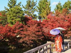 錦を纏う　徳川園紅葉祭 佐野屋で立ち飲み＆芳光のとろとろおいしいわらび餅