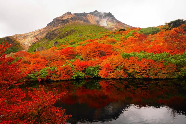 那須岳の紅葉を見に行ってきました。<br /><br />姥ヶ平の真っ赤な紅葉がとても綺麗で、ひょうたん池から見た逆さ茶臼岳と紅葉の風景が素晴らしかったです。<br /><br />関東屈指とも言える那須岳の紅葉。登山はもちろん、ロープウェイもあるので観光でも訪れることが可能です。<br /><br />▼ブログ<br />http://bluesky.rash.jp/blog/hiking/nasudake4.html