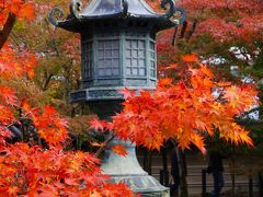 ２０１５・京都（永観堂&#12316;祇園周辺）