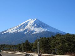 初冬の伊豆へ　いつもの仲間とのんびり1泊2日　　[１]　三嶋大社・修善寺