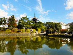 奈良県庁と五重塔と鹿さん