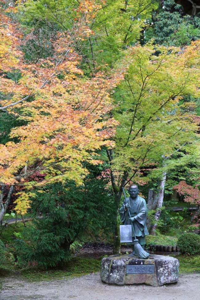 京田辺市にある酬恩庵一休寺へ。<br />一休さんゆかりのお寺です。<br /><br />色付きが悪いといわれる2015年の紅葉，一休寺も例外ではありませんでした。<br />